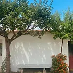 Rosa *