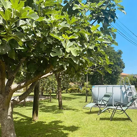 Rosa Casa de Férias *